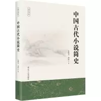 音像中国古代小说简史赵毓龙、胡胜