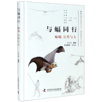 音像与蝠同行(蝙蝠自然与人)(精)陈民镇