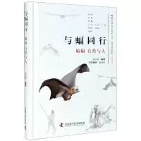音像与蝠同行(蝙蝠自然与人)(精)陈民镇