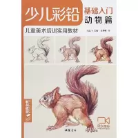 音像少儿彩铅基础入门(动物篇儿童美术培训实用教材)杨建飞
