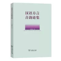 音像汉语方言音韵论集金有景