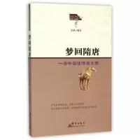 音像梦回隋唐(一本书读懂隋唐文明)/全民阅读中华文明史系列姜越