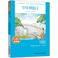 音像全国儿童文学奖·大奖书系·少年摔跤王翌平