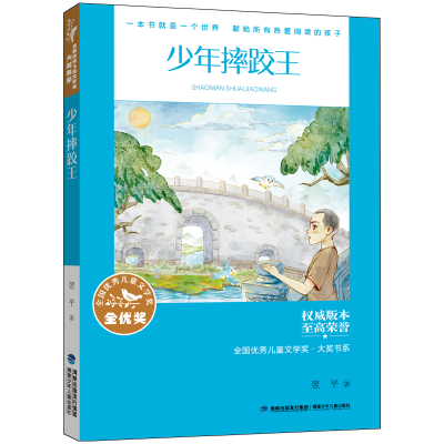 音像全国儿童文学奖·大奖书系·少年摔跤王翌平
