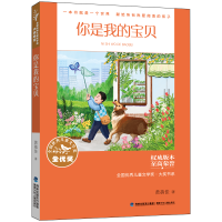 音像全国儿童文学奖·大奖书系·你是我的宝贝黄蓓佳