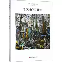 音像中国当代摄影图录 计洲刘铮主编