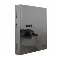 音像目送集卢惠龙