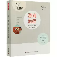 音像游戏治疗(理论与实践的综合指南)/游戏治疗系列