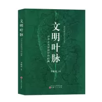 音像文明叶脉李骏虎