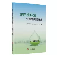 音像城市水环境恢复的实践探索李碧清唐瑶