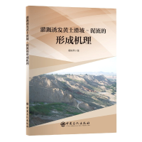 音像灌溉诱发黄土滑坡-泥流的形成机理蔺晓燕