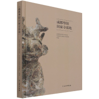 音像成都华阳田家寺墓地(精)成都文物考古研究院著,颜劲松 编