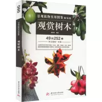 音像景观植物实用图鉴 0辑 观赏树木薛聪贤