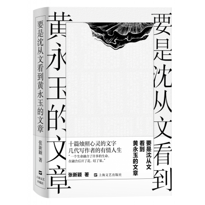 音像要是沈从文看到黄永玉的文章(精)张新颖 著