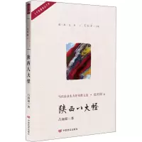 音像陕西八大怪吕向阳