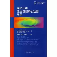 音像实时三维经食管超声心动图手册安妮特·维加斯