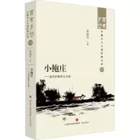 音像小鲍庄——当代沪浙乡土小说张丽军