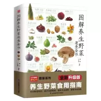 音像图解养生野菜速查全书于雅婷编著;曹军