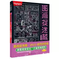音像图画捉迷藏20视觉颠覆版(全2册)美国童光萃集出版社