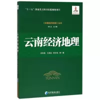 音像云南经济地理/中国经济地理丛书武友德