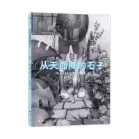 音像从天而降的石子[日]盐谷真实子