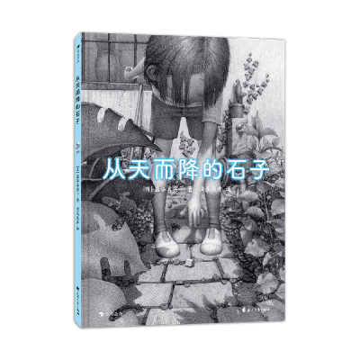 音像从天而降的石子[日]盐谷真实子