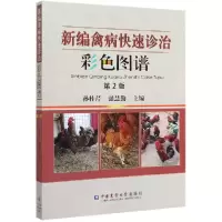 音像新编禽病快速诊治彩色图谱(第2版)孙桂芹