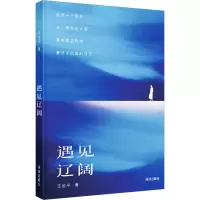 音像遇见辽阔王运平