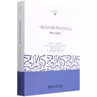 音像一起迈向世界的共同法(理念与规则)(法)米海伊·戴尔玛斯-玛蒂