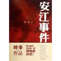 音像安江事件叶辛