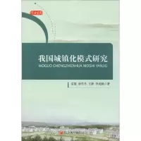 音像我国城镇化模式研究雷霞 等