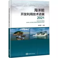 音像海洋能开发利用技术进展 2021麻常雷