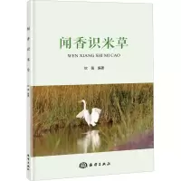 音像闻香识米草钦佩