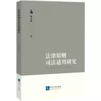 音像法律原则司法适用研究时显群