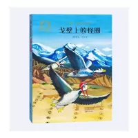 音像金羽毛·幼儿成长美育绘本戈壁上的怪圈黄梦萦/文卢瑞娜/图