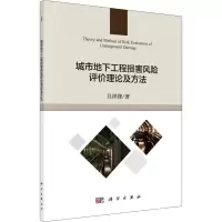 音像城市地下工程损害风险评价理论及方法吕祥锋