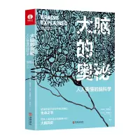 音像大脑的奥秘:人人要懂的脑科学