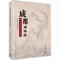音像成都通锦路唐净众寺园林遗址成都文物考古研究所