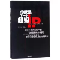 音像你就是下一个iP(成为内容网红的实操秘笈)方宇锋