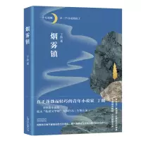 音像烟雾镇丁颜著