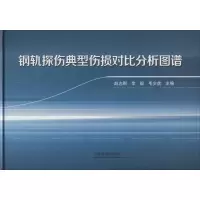音像钢轨探伤典型伤损对比分析图谱赵志刚,李毅,毛少虎