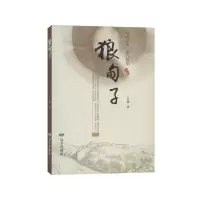 音像狼甸子吕斌
