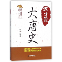 音像这才是大唐史张杰