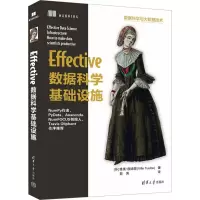 音像Effective数据科学基础设施(芬)维莱·图洛斯