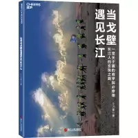 音像当戈壁遇见长江小刀崔