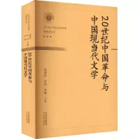 音像20世纪中国与中国现当代文学贺照田何浩李超著
