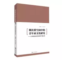音像微社群空间中的青年亚文化研究--以网络剧和用户圈为例董金权