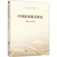 音像中国扶贫模式研究胡兴东,杨林