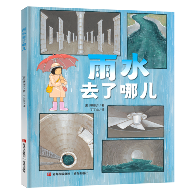 音像雨水去了哪儿[日]镰田步