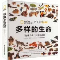 音像多样的生命 